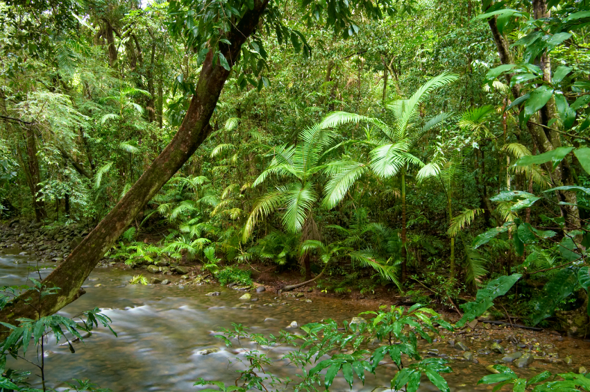 Climate change and Queensland biodiversity