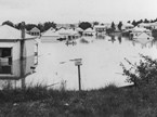 1890 Brisbane cyclone