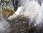 Firies to Queenlanders: "Get ready for busy bushfire season!"