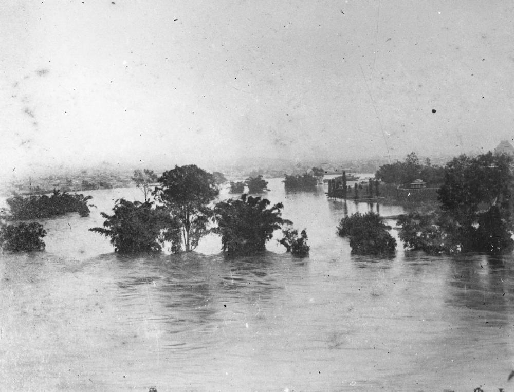 Botanic gardens Brisbane during the January 1887 floods.  'John Oxley Library, State Library of Queensland Image: 204007'.