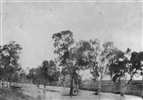 1925 Cloncurry flood